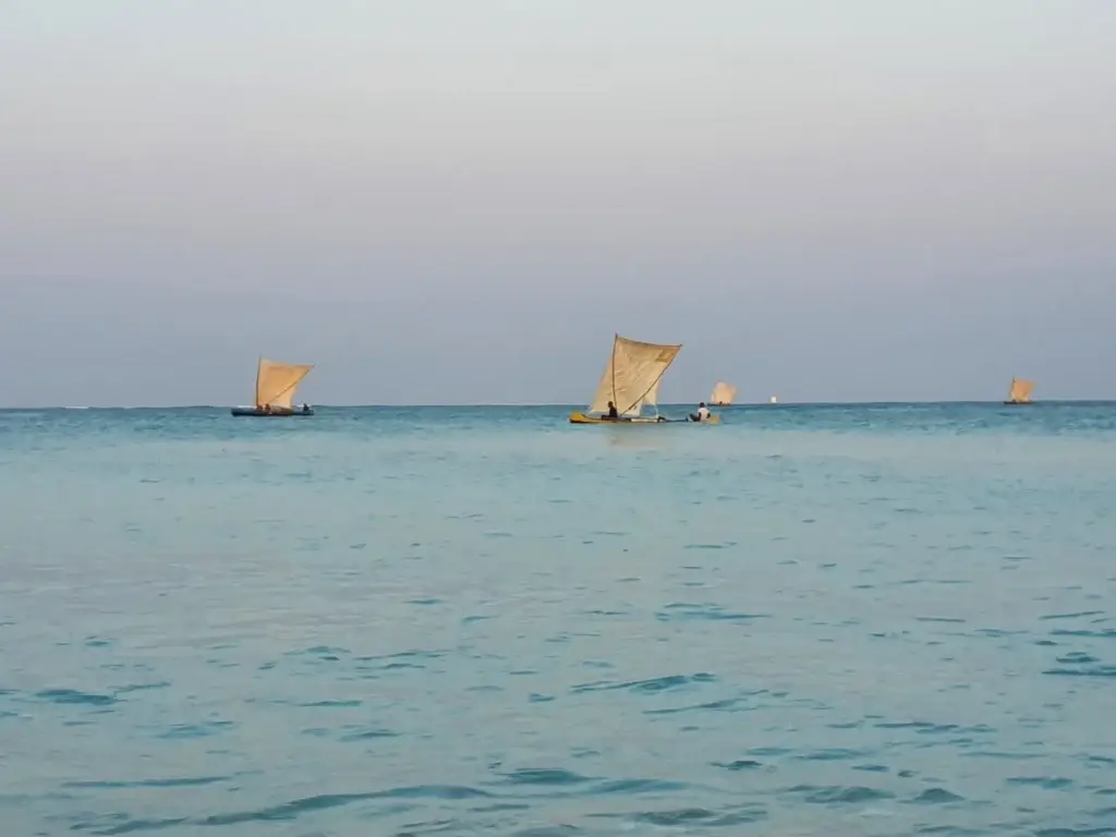 Pirogues a voile traditionnelles vezo sur le lagon, Sud de Madagascar