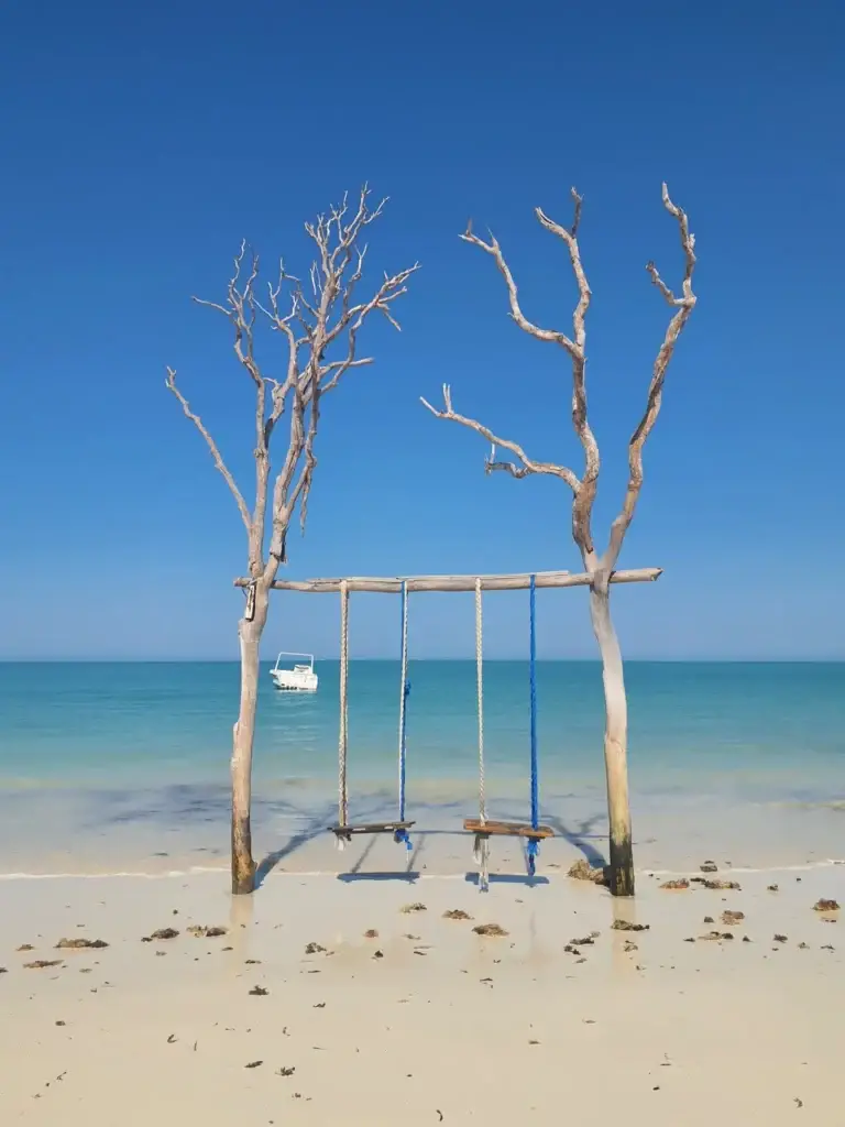 Balançoire en bois flotté face au lagon d'Ambatomilo