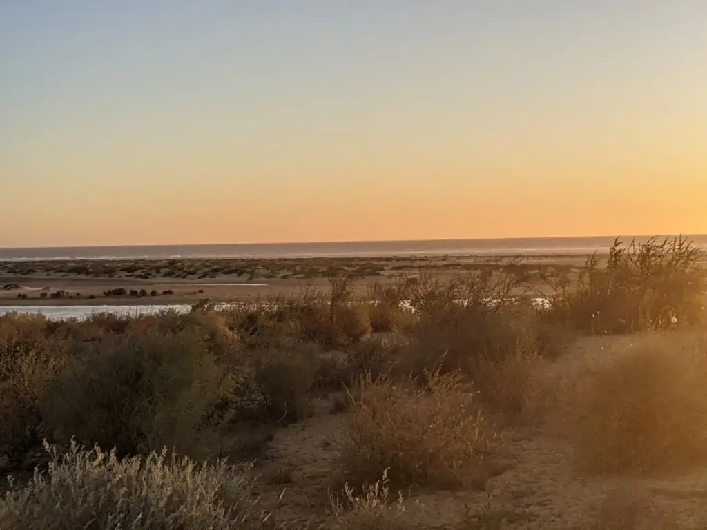 Coucher de soleil sur la végétation côtière d'Anakao