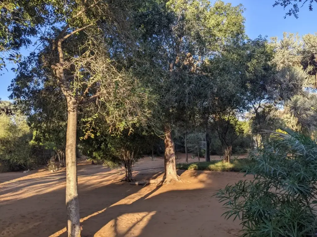 Sentier de sable ombragé à Anakao
